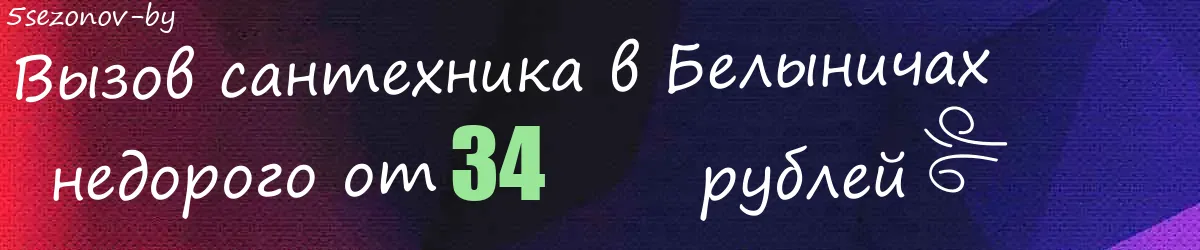 Сантехник в Белыничах